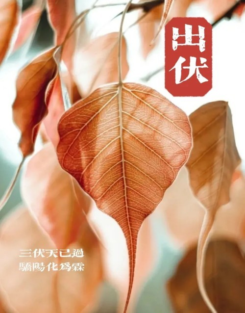 图片 1.jpg