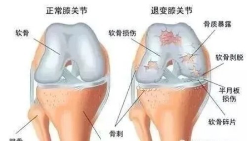 图片 2.jpg