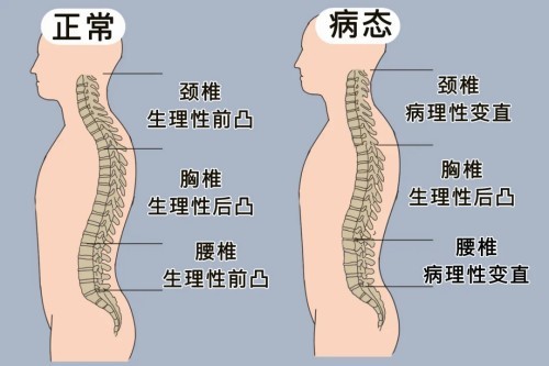 图片 2.jpg